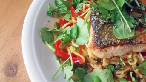 Salmon-and-Noodles-Close